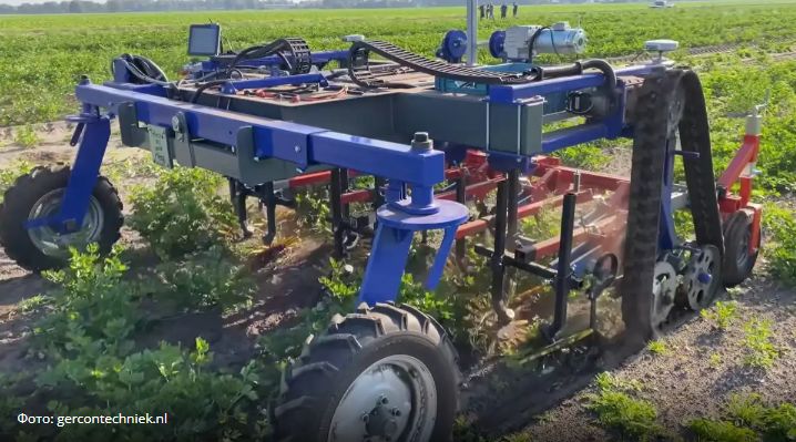 Создана автономная машина для прополки сорняков и обработки сельдерея